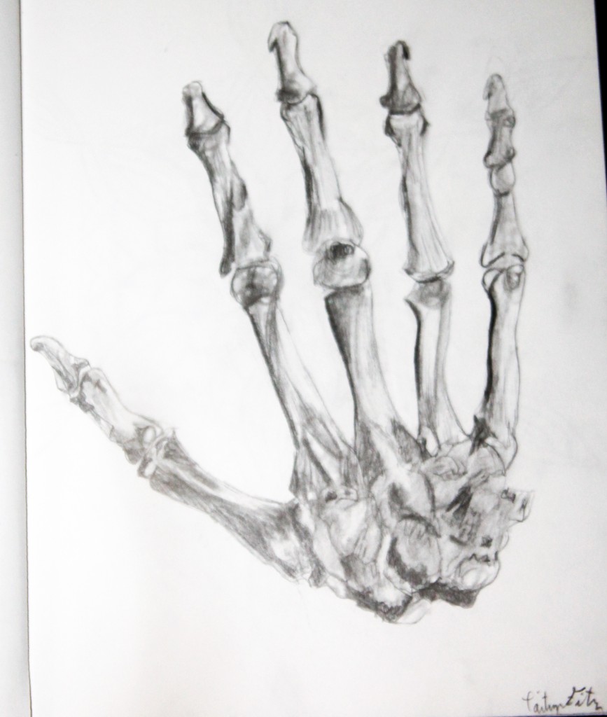 Skeleton-Sketch